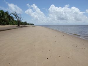 A section of Hamburg Beach