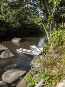 Boats moored on the river bank (Photo by Steve Humphreys)