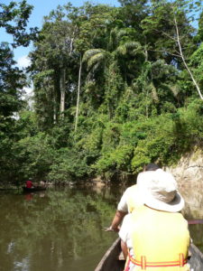 Journeying to Surama via Burro-Burro (Photo by Jay Seedy)