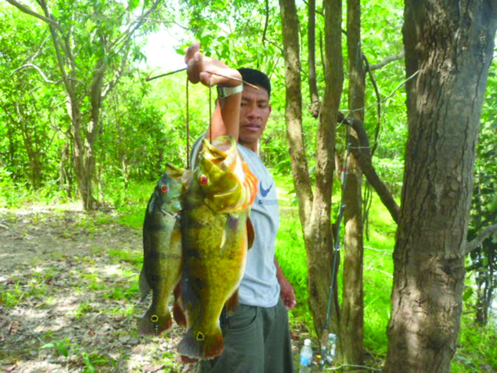 Sport Fishing in ‘Big River Country’ – Guyana Times International – The ...